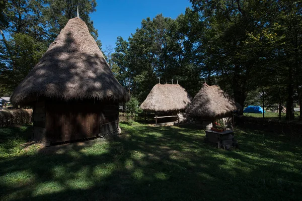 Casa Pastoral Tradicional Com Paredes Vigas Abeto Esculpida Quatro Lados — Fotografia de Stock