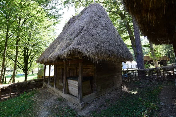 Casa Pastoral Tradicional Com Paredes Vigas Abeto Esculpida Quatro Lados — Fotografia de Stock