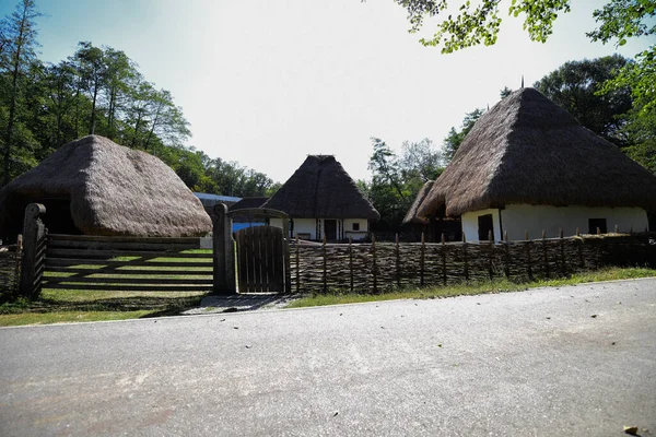 Casa Pastoral Tradicional Com Paredes Vigas Abeto Esculpida Quatro Lados — Fotografia de Stock