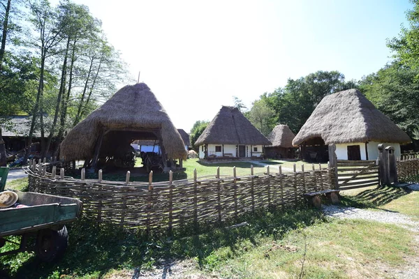 Casa Pastoral Tradicional Com Paredes Vigas Abeto Esculpida Quatro Lados — Fotografia de Stock