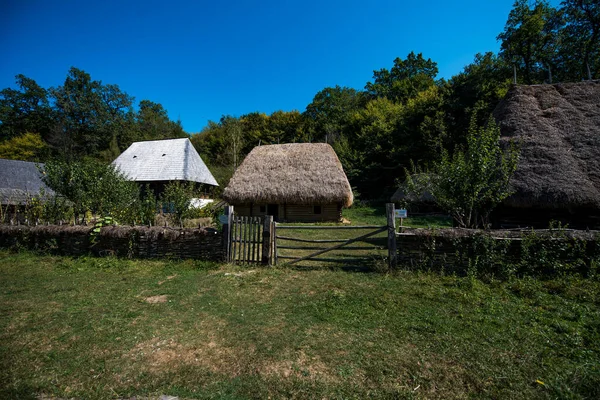 Casa Pastoral Tradicional Com Paredes Vigas Abeto Esculpida Quatro Lados — Fotografia de Stock