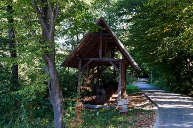 Geleneksel Romanya barakası, makinelerin, araçların, yem, ağaç ve hayvanların tarım veya el sanatları faaliyetleri için tutulduğu bir ev veya çiftliğin ek binasıdır.