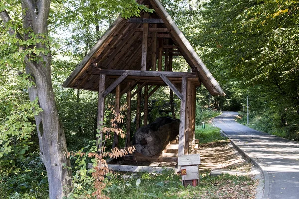 Geleneksel Romanya barakası, makinelerin, araçların, yem, ağaç ve hayvanların tarım veya el sanatları faaliyetleri için tutulduğu bir ev veya çiftliğin ek binasıdır.