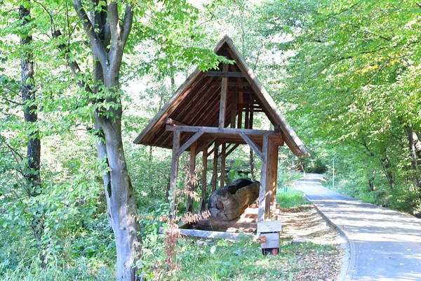 Geleneksel Romanya barakası, makinelerin, araçların, yem, ağaç ve hayvanların tarım veya el sanatları faaliyetleri için tutulduğu bir ev veya çiftliğin ek binasıdır.