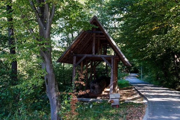 Geleneksel Romanya barakası, makinelerin, araçların, yem, ağaç ve hayvanların tarım veya el sanatları faaliyetleri için tutulduğu bir ev veya çiftliğin ek binasıdır.