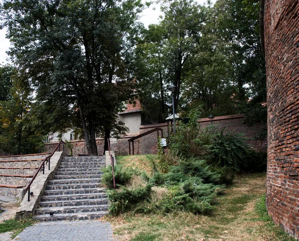 Fortification Médiévale Forteresse Sibiu Est Construite Pierre Brique Forme Circulaire — Photo