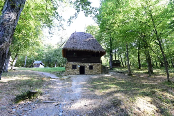 Hut Precarious Peasant House Huts Huts Huts Peasant Houses Built — Stock Photo, Image