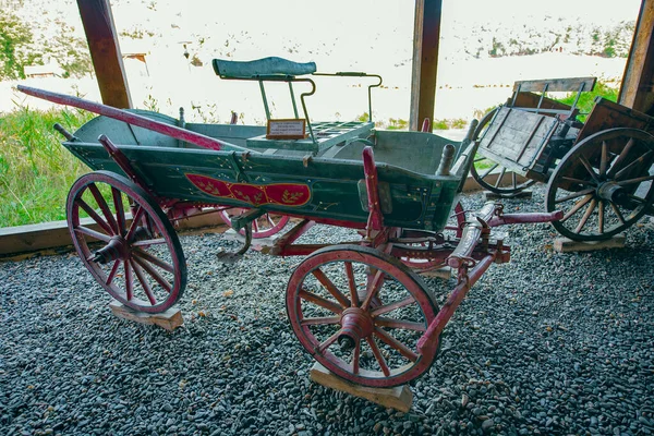 Carro Tirado Animal Medieval Construye Dos Cuatro Ruedas Dos Ruedas — Foto de Stock