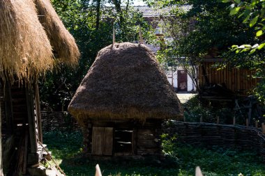 Köknar kirişli duvarları olan tek hücreli bir kulübe, dört yanına oyulmuş ve sonunda samandan yapılmış dört sulu bir dovetail ile kapatılmış..