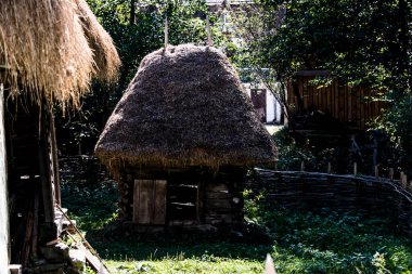 Köknar kirişli duvarları olan tek hücreli bir kulübe, dört yanına oyulmuş ve sonunda samandan yapılmış dört sulu bir dovetail ile kapatılmış..