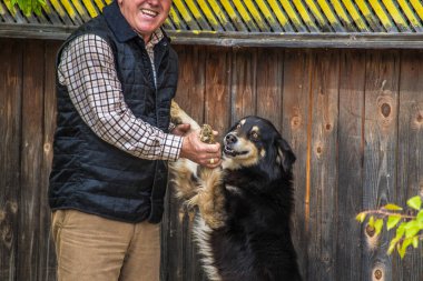 Bekçi köpeği, istenmeyen insan ya da hayvan istilacılarına karşı araziyi gözlemek ve korumak için kullanılan büyük ya da orta büyüklükte bir köpektir.
