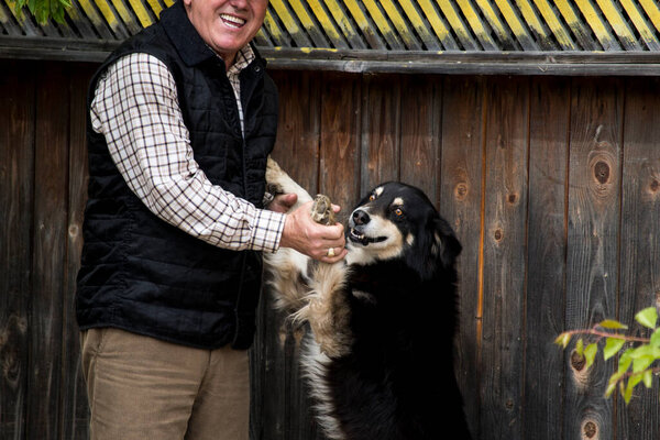 A guard dog is a large or medium-sized dog used to watch and guard the property against unwanted human or animal intruders The dog is discerning enough not to annoy or attack human residents of home