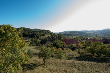 Brsana 'daki Ortodoks Manastırı, Ortodoks tarikatının geleneksel ahşap ve taş yapıları olan Maramure Valea Izei' den gelen kırmızı çiçeklerin hakim olduğu doğal alanda bulunan bir manastır kompleksi.