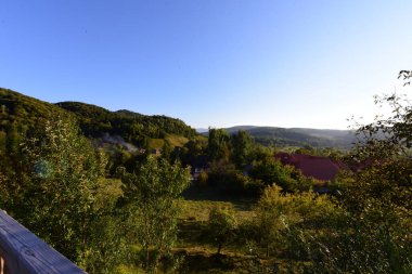 Brsana 'daki Ortodoks Manastırı, Ortodoks tarikatının geleneksel ahşap ve taş yapıları olan Maramure Valea Izei' den gelen kırmızı çiçeklerin hakim olduğu doğal alanda bulunan bir manastır kompleksi.