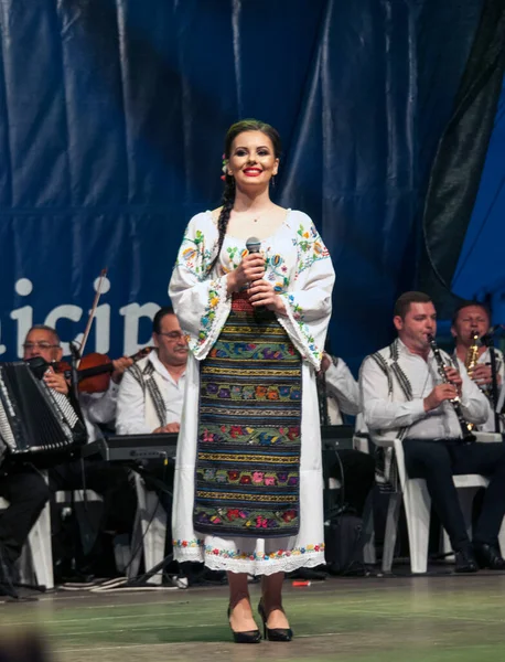 Targu Jiu Rumänien Mai 2018Trachtenkünstler Aus Gorjdie Teile Des Anzugs — Stockfoto