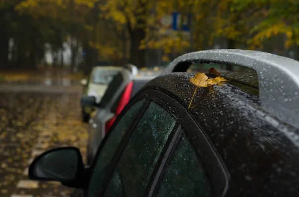 Autumn Rain Σταγόνες Και Κίτρινα Φύλλα Στο Αυτοκίνητο — Φωτογραφία Αρχείου