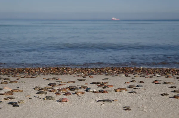 Deniz Kıyısı - Deniz kıyısında küçük taşlar