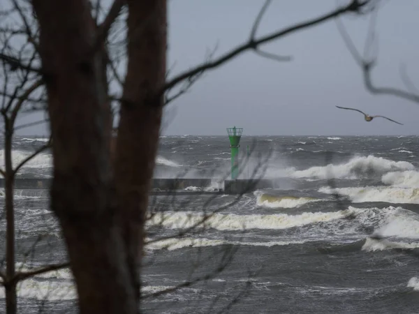Wetter Hurrikan Der Küste — Stockfoto