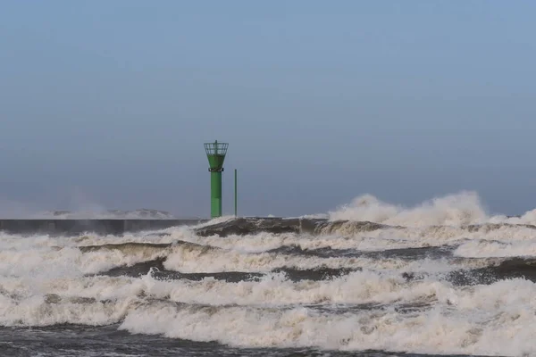 Wetter Hurrikan Der Küste — Stockfoto