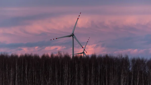 在夜空和白桦林背景下的风力涡轮机 — 图库照片