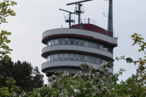 THE BLOOMING TREES AND NAVAL TRAFFIC CONTROL TOWER - Spring and maritime traffic supervision facility in Swinoujscie