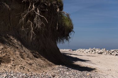 Deniz Kıyısı - Ağaç kökleri ve kaya yığınlarıyla dolu yüksek uçurum