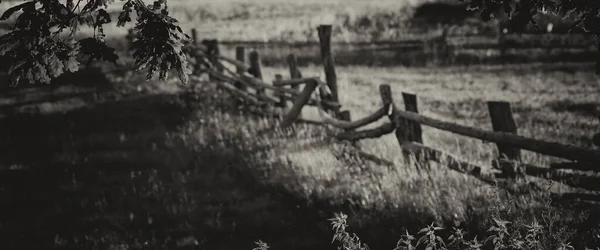 Rural Landscape Leafy Oak Branches Background Old Wooden Pasture Fencing — ストック写真