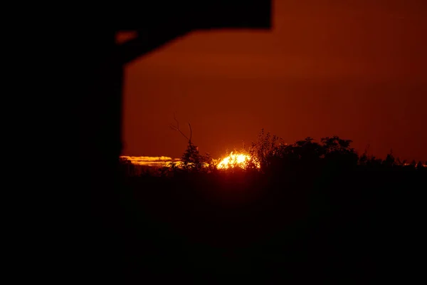 SUNRISE - The sun rises from behind reeds in bog