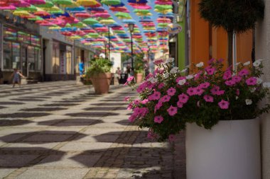 POLCZYN ZDROJ, WEST POMERANIAN - 2022: A flowers on the walking passage under colorful umbrellas