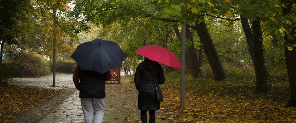 Rain People Walking Autumn Park Umbrellas — Stock Photo, Image