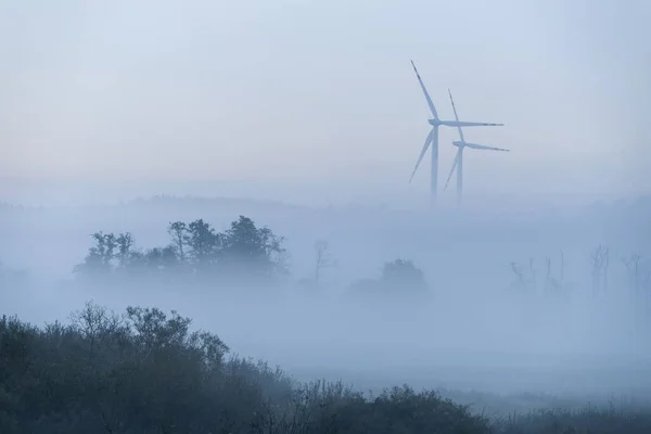Mist 秋天的早晨 在河谷 — 图库照片