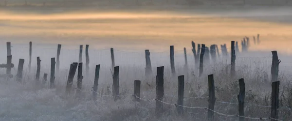 Meadow Fog Manhã Outono Nas Pastagens — Fotografia de Stock