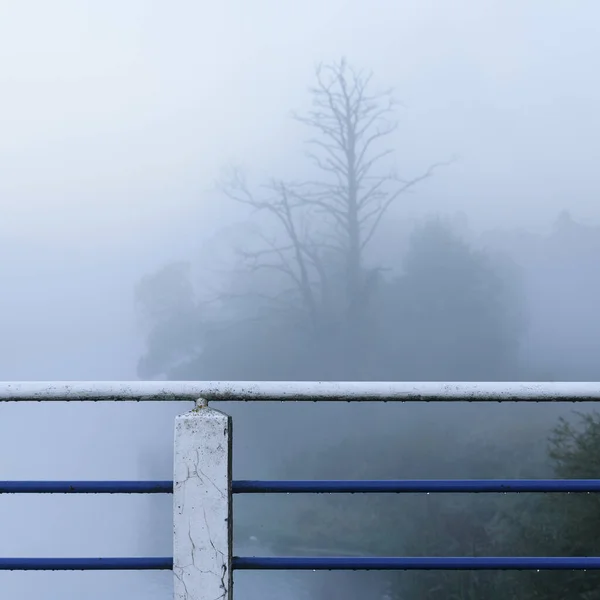 Fog Névoa Ponte Sobre Rio — Fotografia de Stock