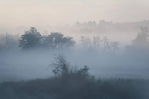 Misty Landscape Manhã Outono Vale Rio — Fotografia de Stock