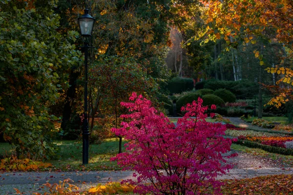 Autumn City Park Kolorowy Sezon Słońcu — Zdjęcie stockowe