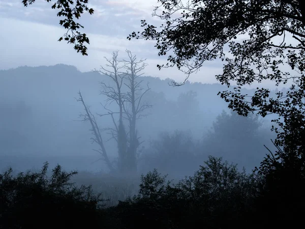 Misty Landscape Manhã Outono Vale Rio — Fotografia de Stock