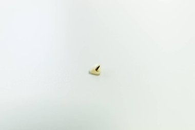 Fen laboratuarında insan parçaları üzerine çalışma..