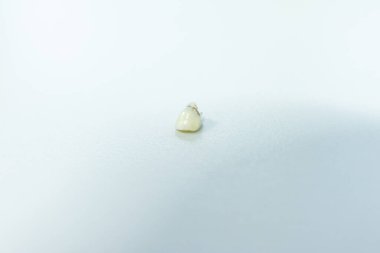 Fen laboratuarında insan parçaları üzerine çalışma..