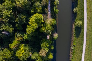 Thalkirchen, Münih 'te bir ormanın altındaki nehrin yanındaki yol. Hava aracı görüntüsü, kuş bakışı.