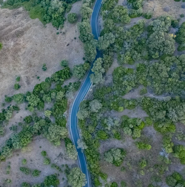 Virajlı bir yolda Vejer de la frontera 'ya giden arabanın hava aracı görüntüsü.