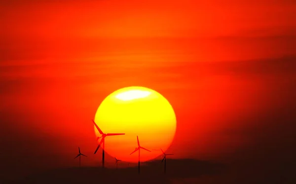 Eco Power Wind Turbines Generating Electricity Silhouette Wind Turbine Sunrise — Stock Photo, Image