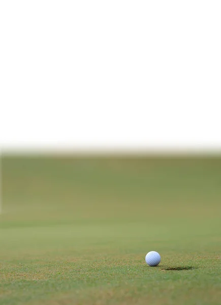 Pelota Golf Con Espacio Copia —  Fotos de Stock