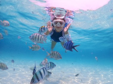 Turistler Tayland 'ın Samaesarn Adası' nda nemo balığı, balık ve mercan görmek için şnorkelle dalıyorlar.