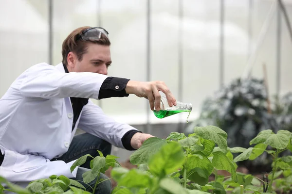 Agricultural Engineers Test Plants Health Analyze Data Tablet Computer Biotechnology — Stock Fotó