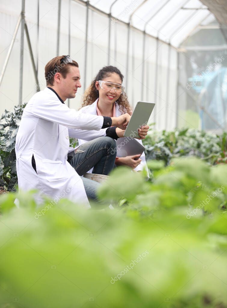  Agricultural Engineers Test Plants Health and Analyze Data with Tablet Computer. Biotechnology  engineer examining plant leaf for disease