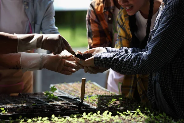 农民在有机花园种植番茄幼苗或农民分析有机农场 可用于农业智能化农场经营理念 — 图库照片