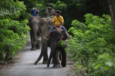 Zoo khou khew famous place for travel , Chonburi, Thailand- 16 May 2022 , On the day of the holiday, recreational areas  Zoo, man ride and control elephants walking for show 
