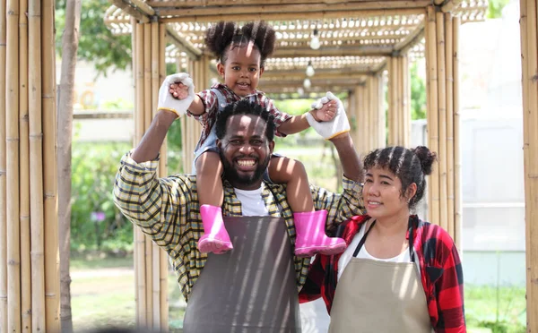 Afro-Amerikan ailesi mutlu bir yaz tatili geçirsin. 