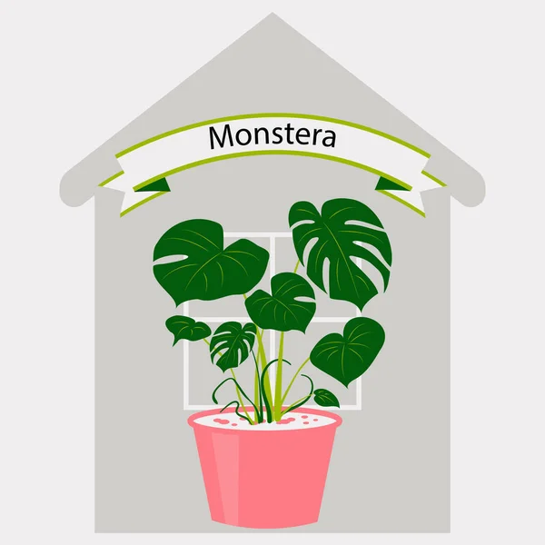 Monstera dans un pot de fleurs sur la maison de fond — Image vectorielle
