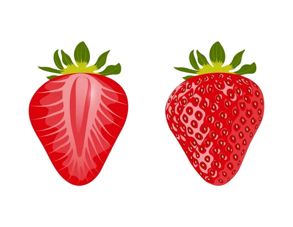 Rote reife Beeren und halbe Erdbeeren isoliert — Stockvektor